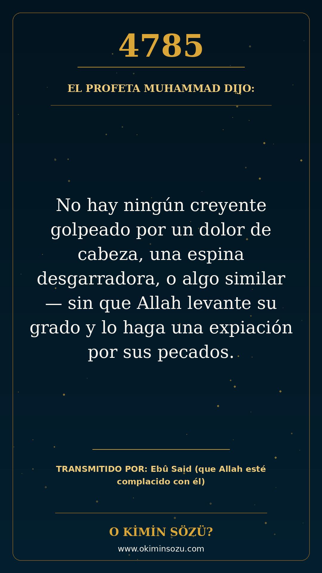 hadis 4785 es