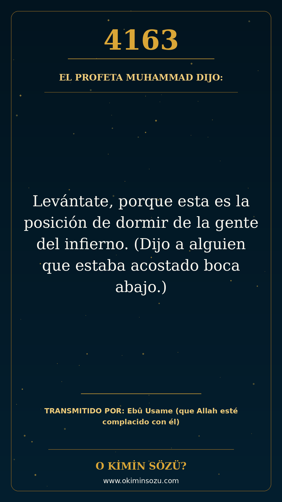 hadis 4163 es