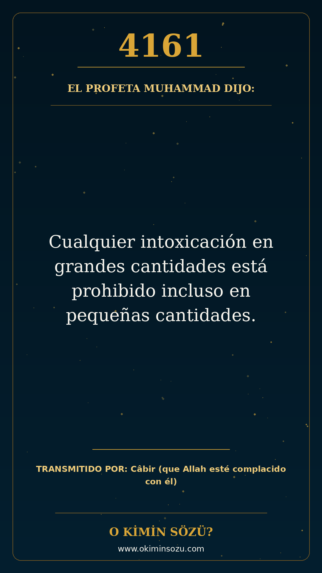 hadis 4161 es