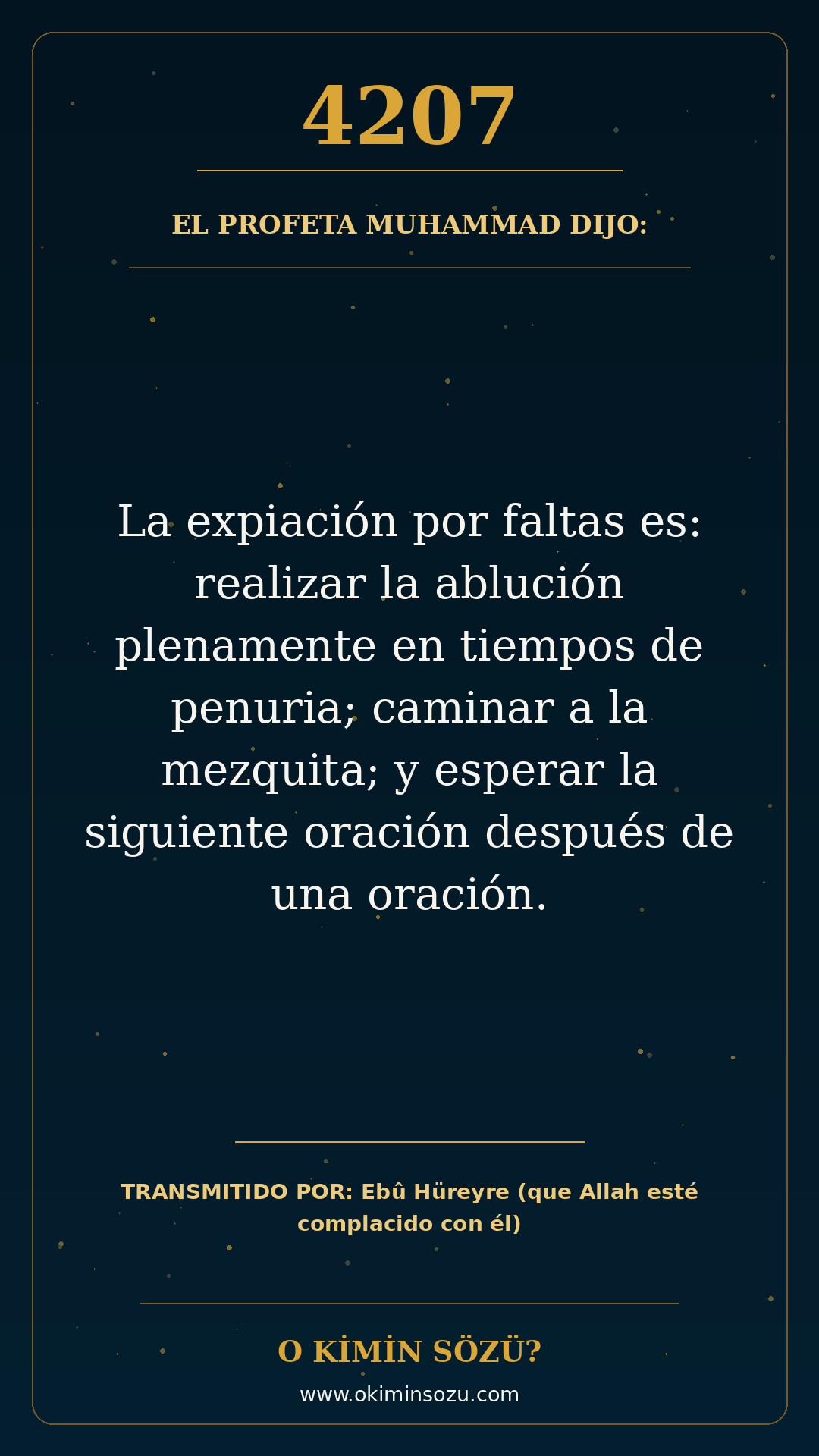 hadis 4207 es