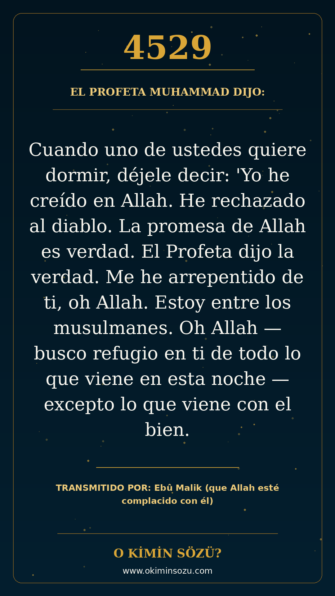 hadis 4529 es