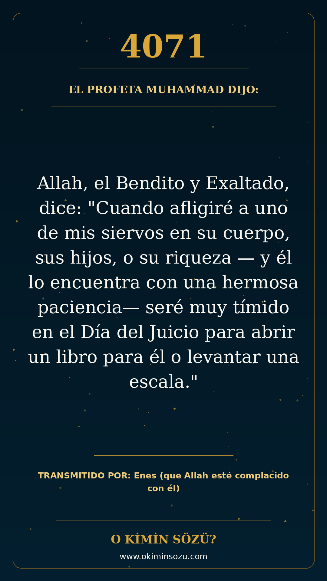 hadis 4071 es