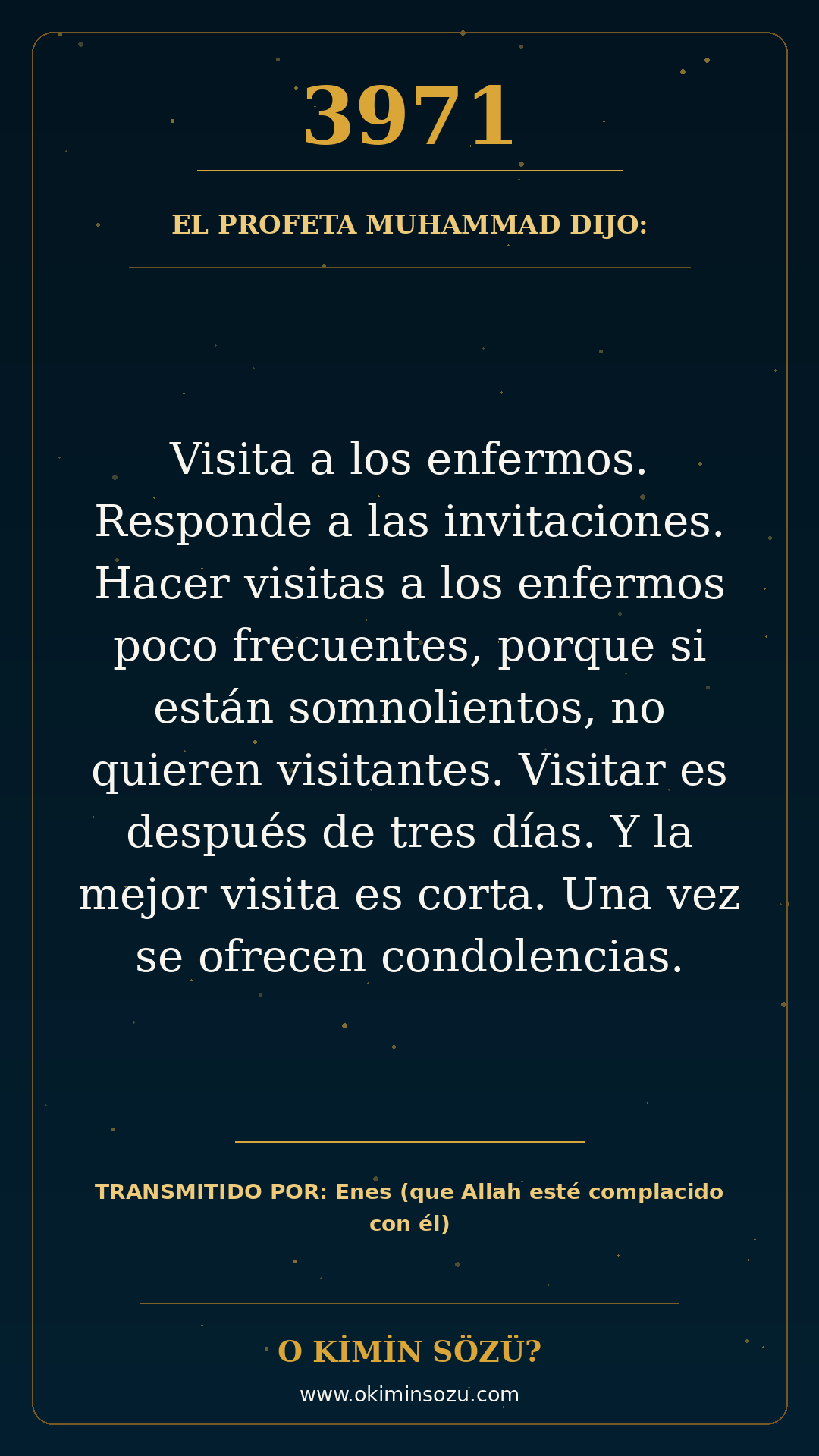 hadis 3971 es