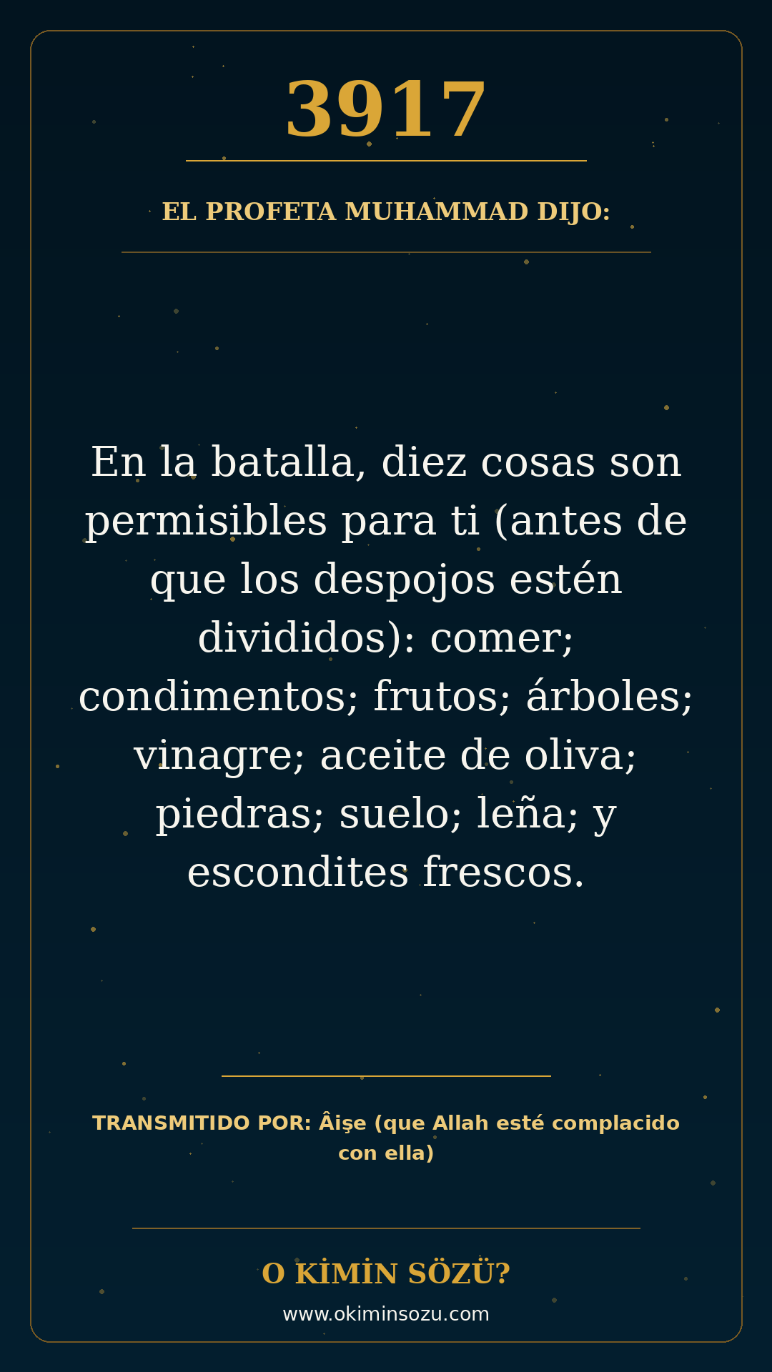 hadis 3917 es