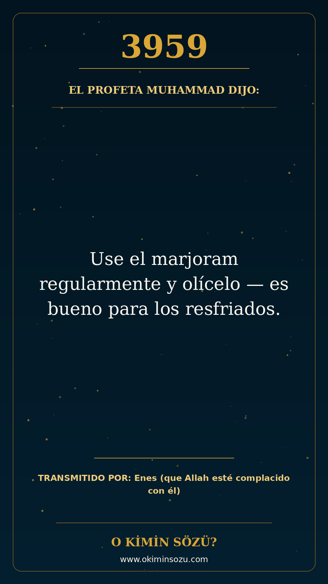 hadis 3959 es