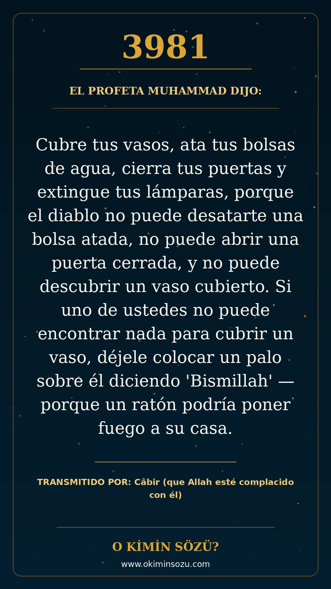 hadis 3981 es