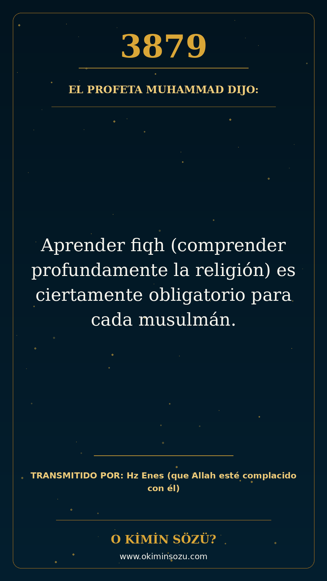 hadis 3879 es