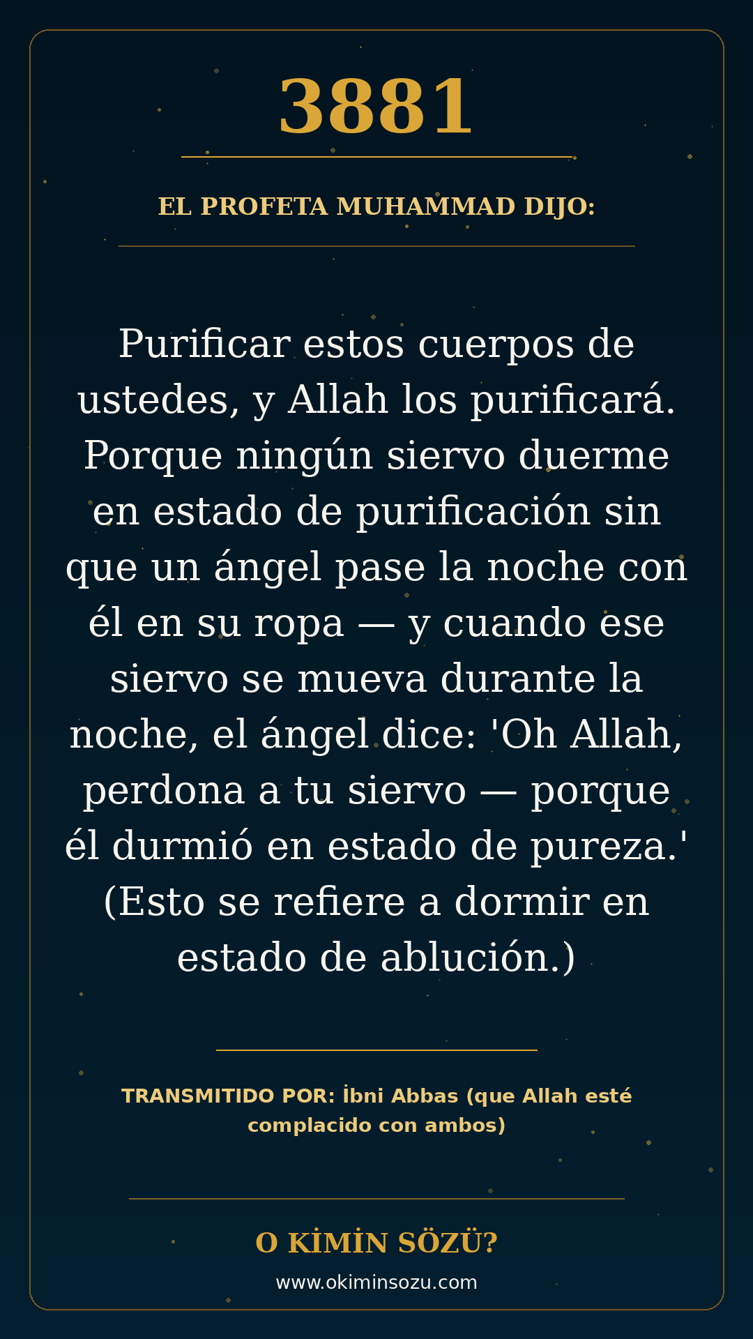 hadis 3881 es