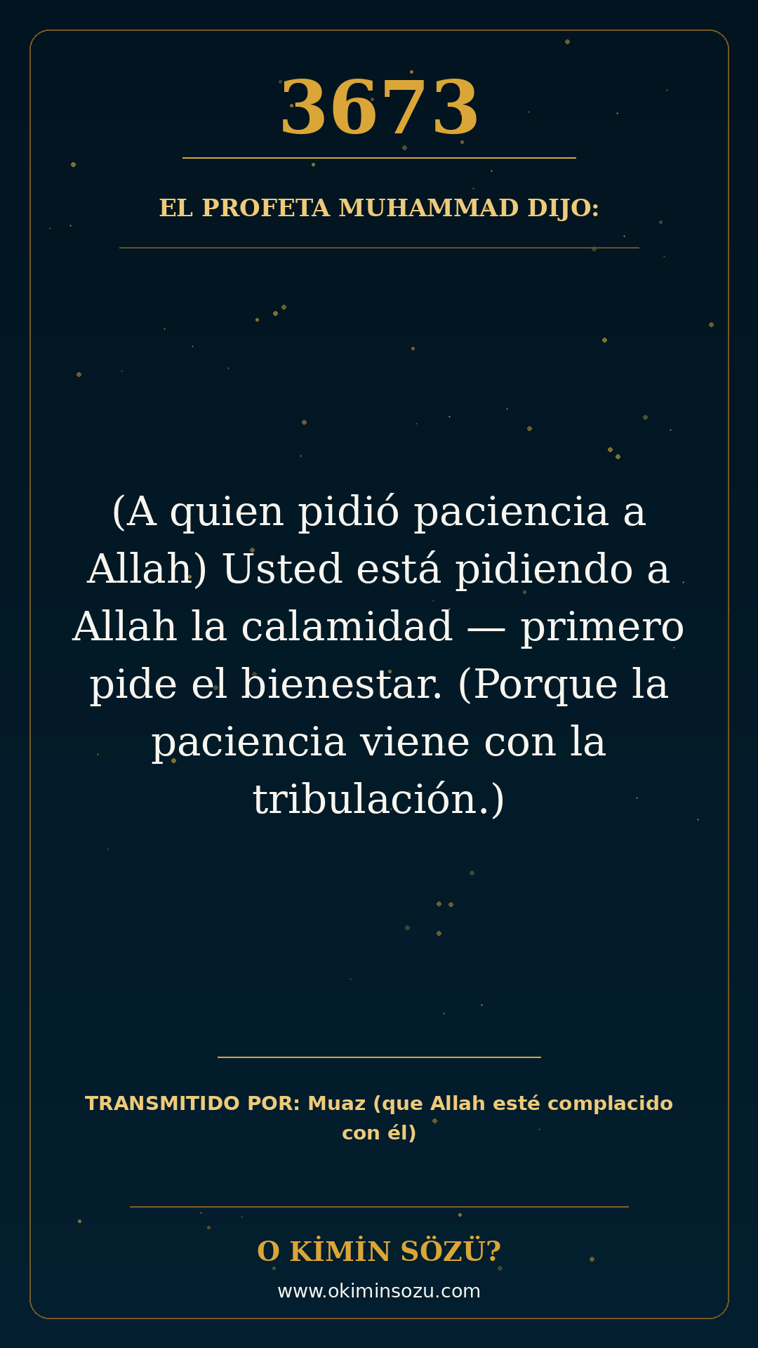hadis 3673 es