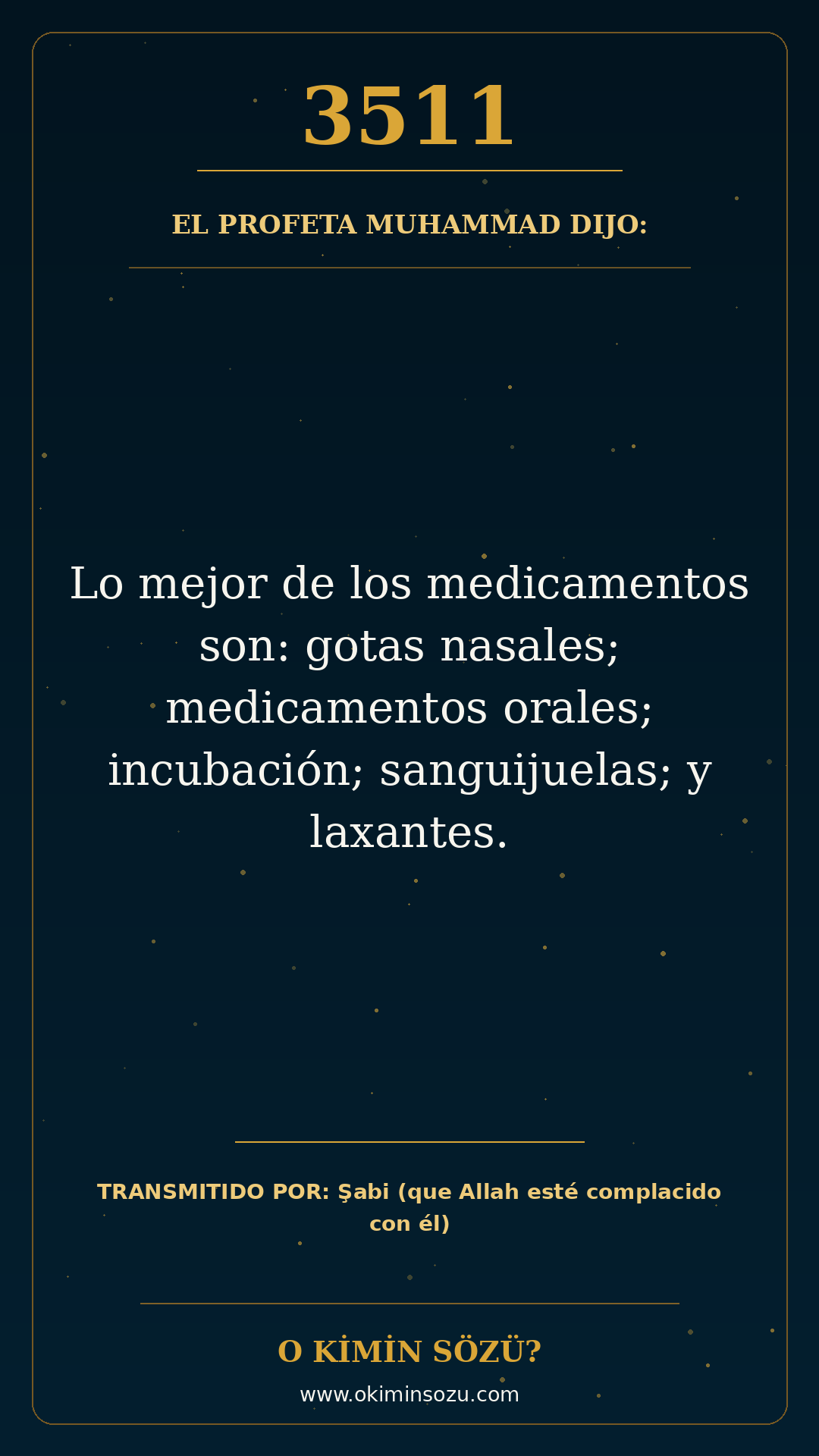 hadis 3511 es