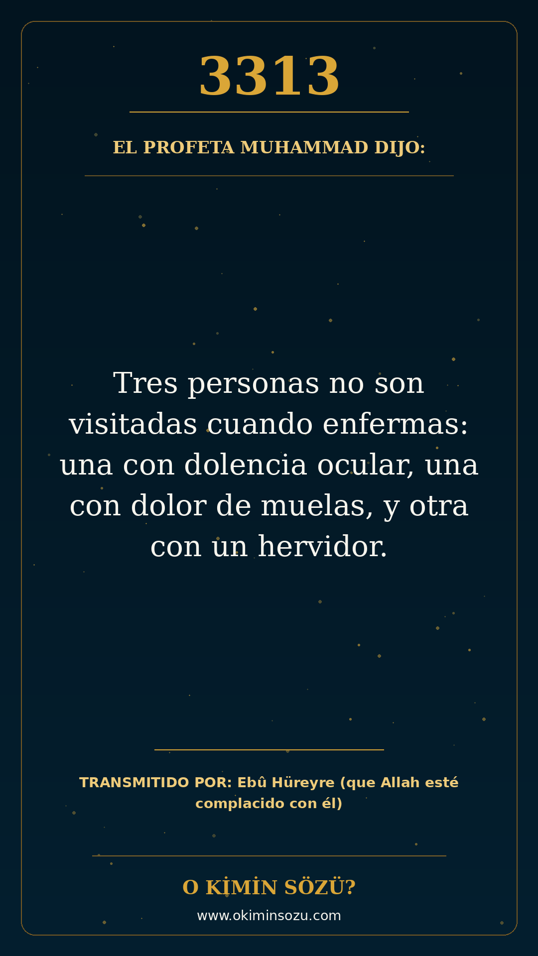 hadis 3313 es