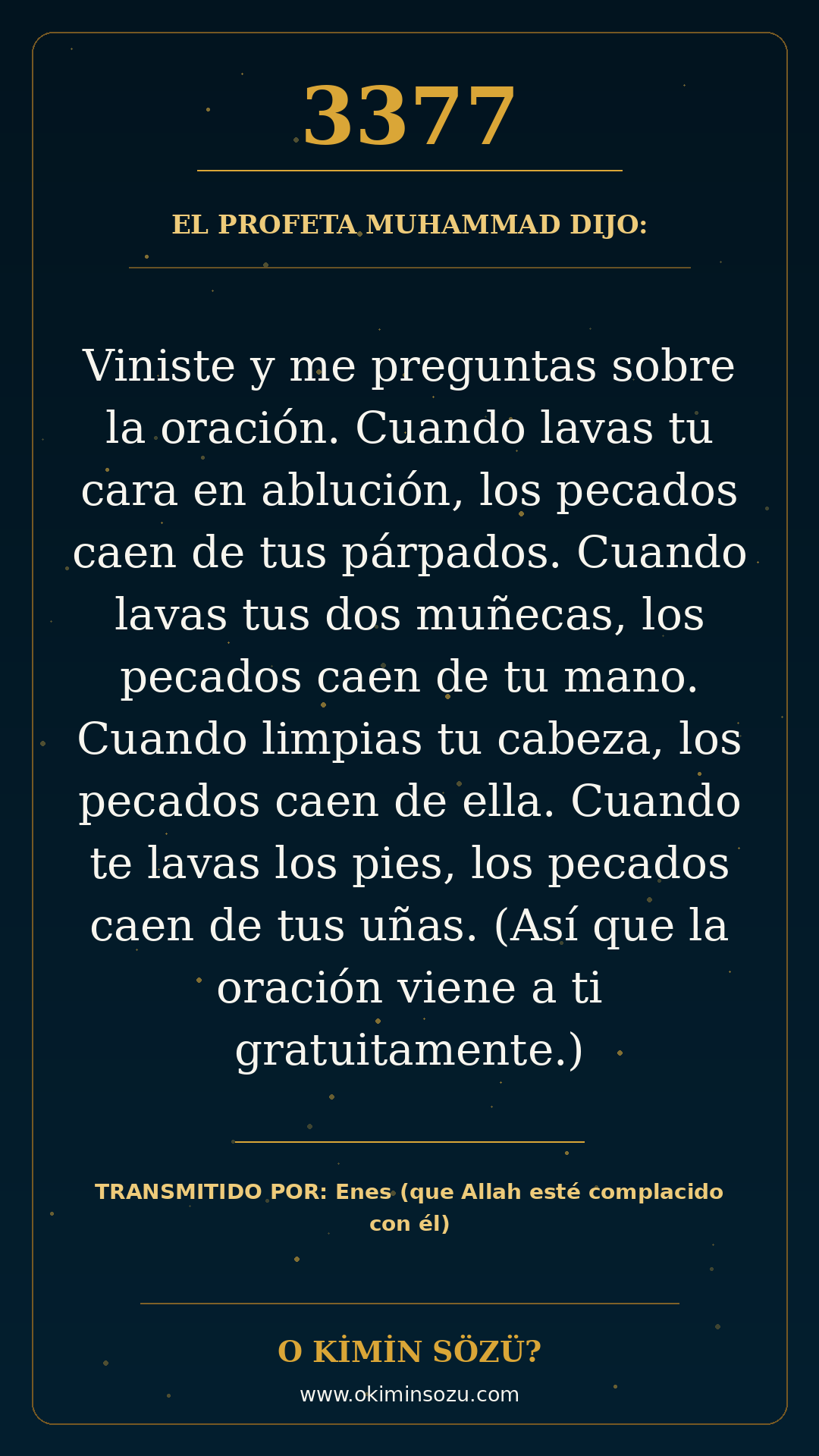 hadis 3377 es