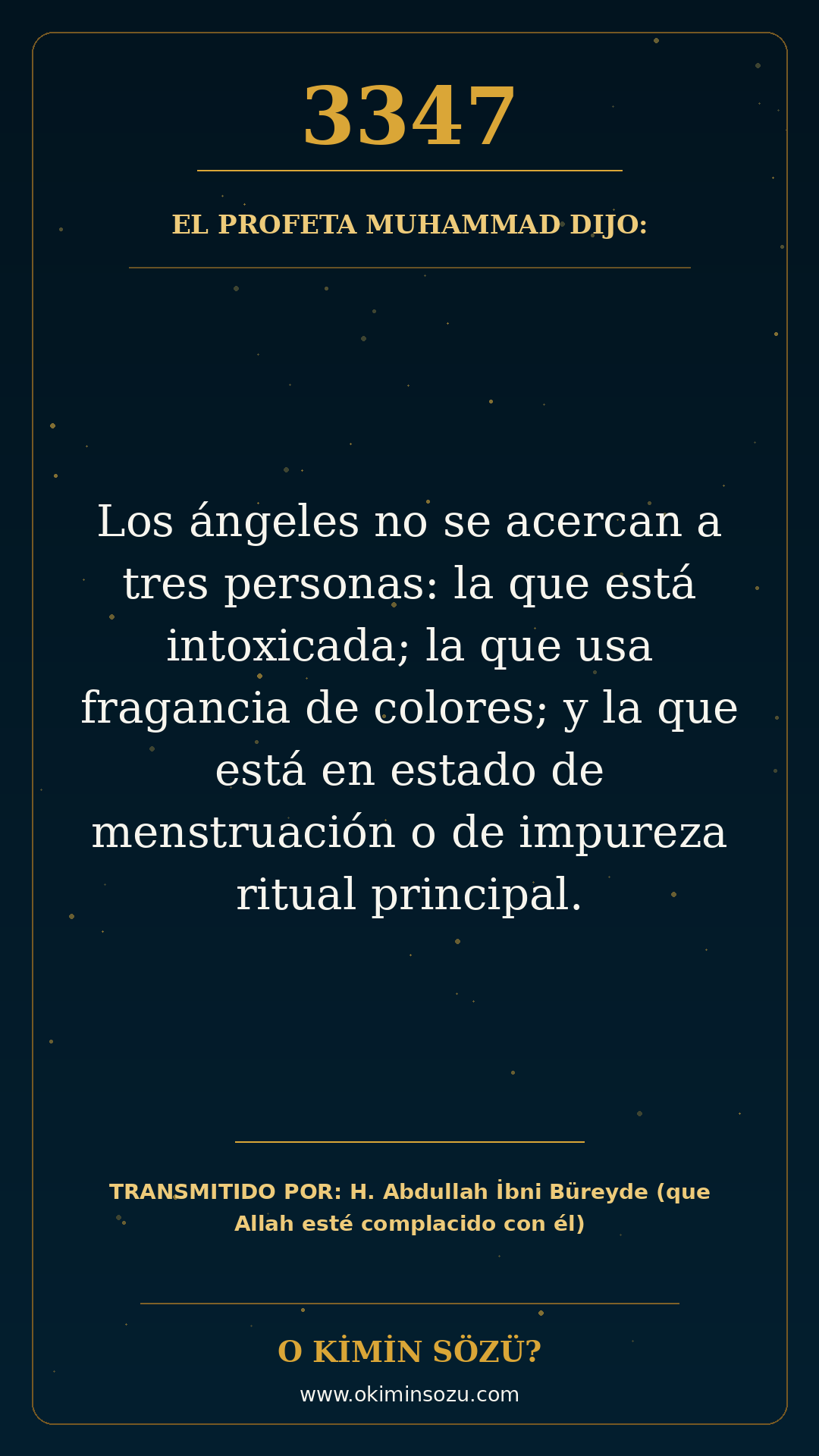 hadis 3347 es