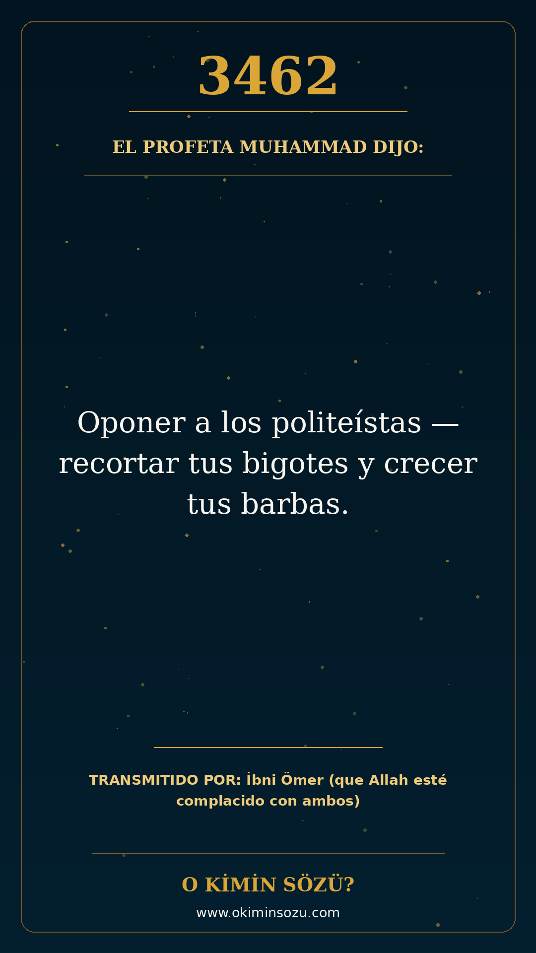 hadis 3462 es