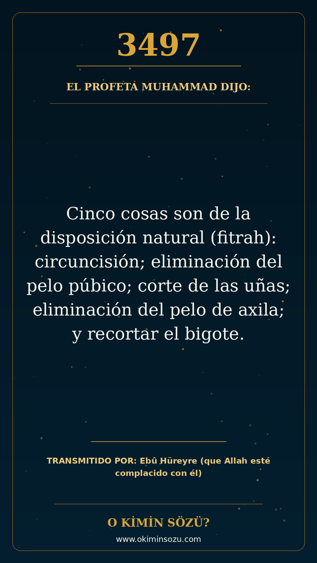 hadis 3497 es
