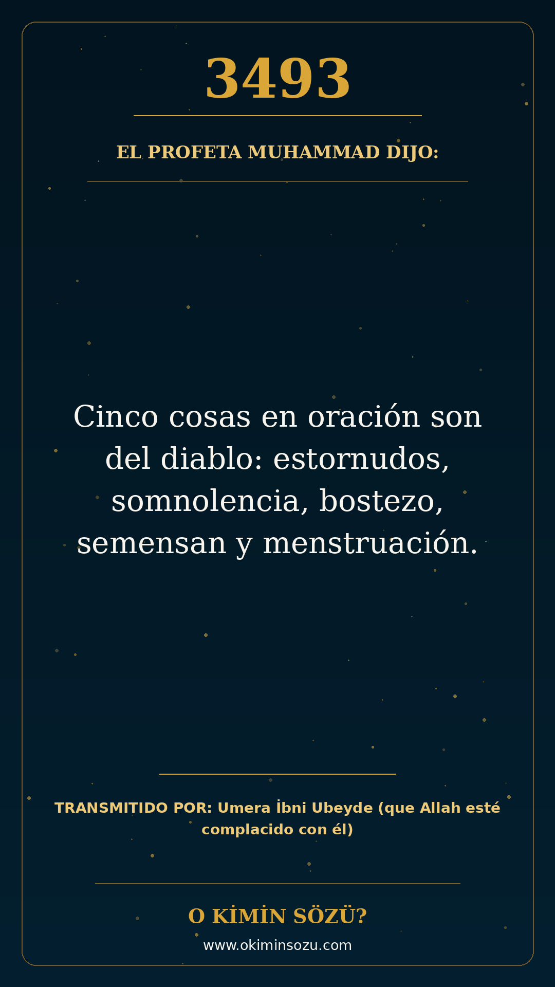 hadis 3493 es