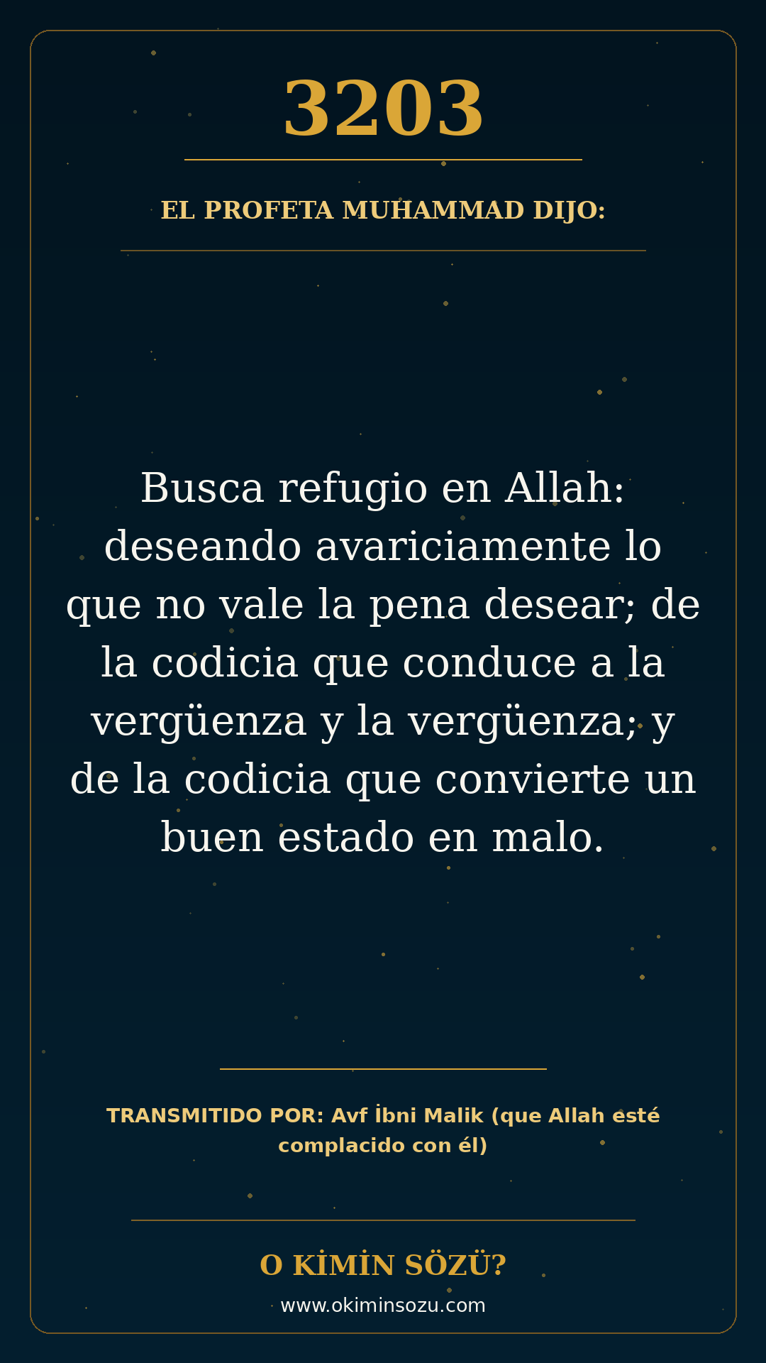 hadis 3203 es