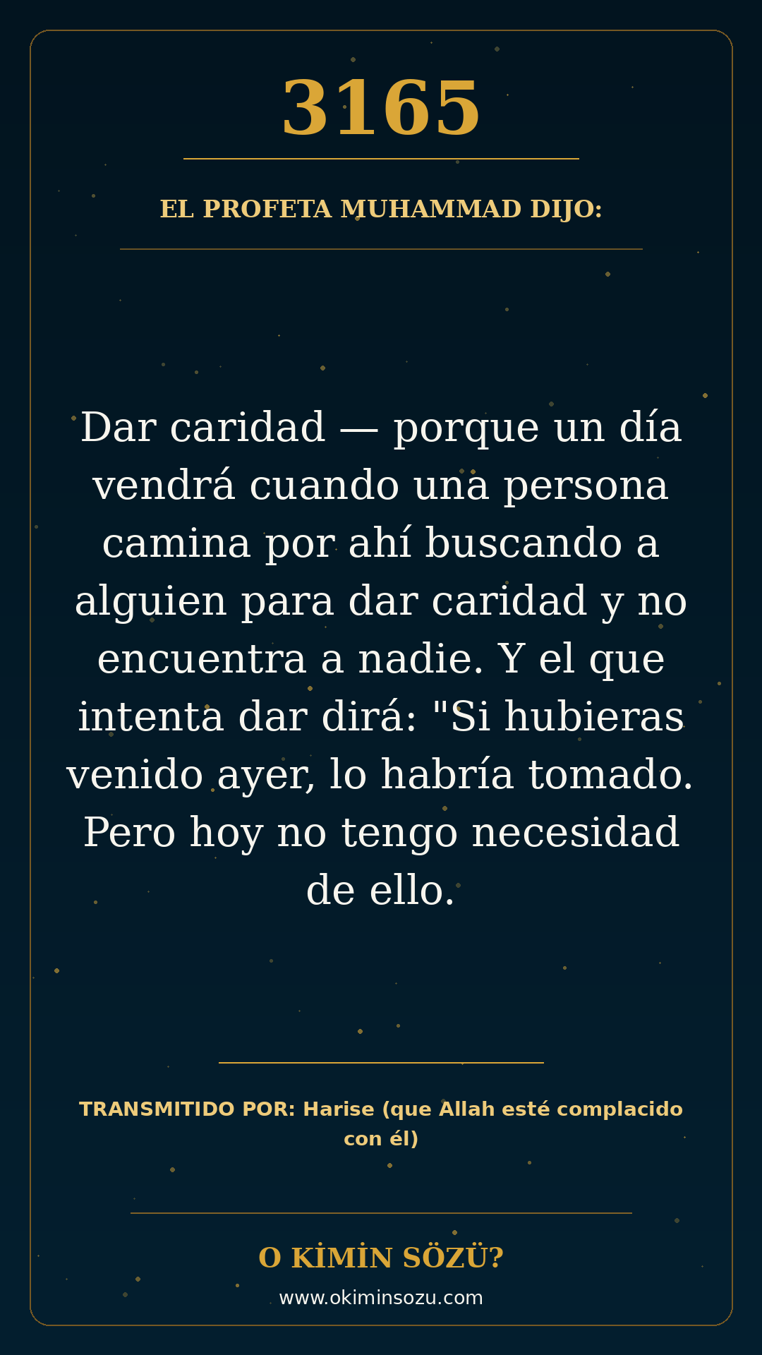 hadis 3165 es