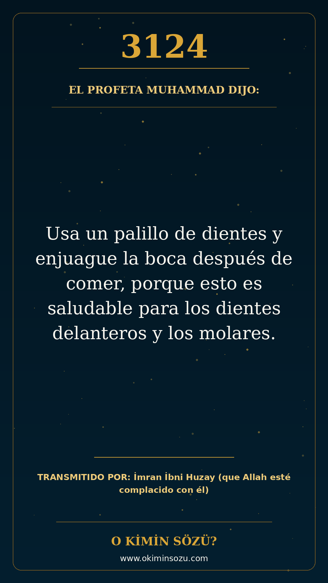 hadis 3124 es