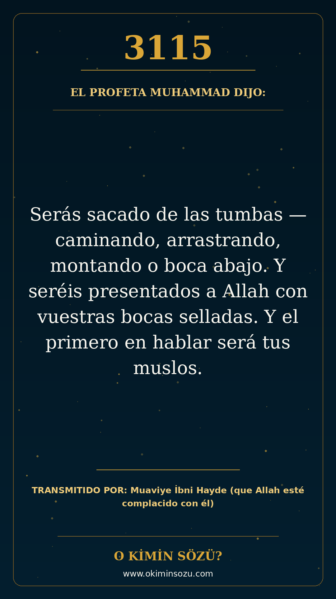 hadis 3115 es