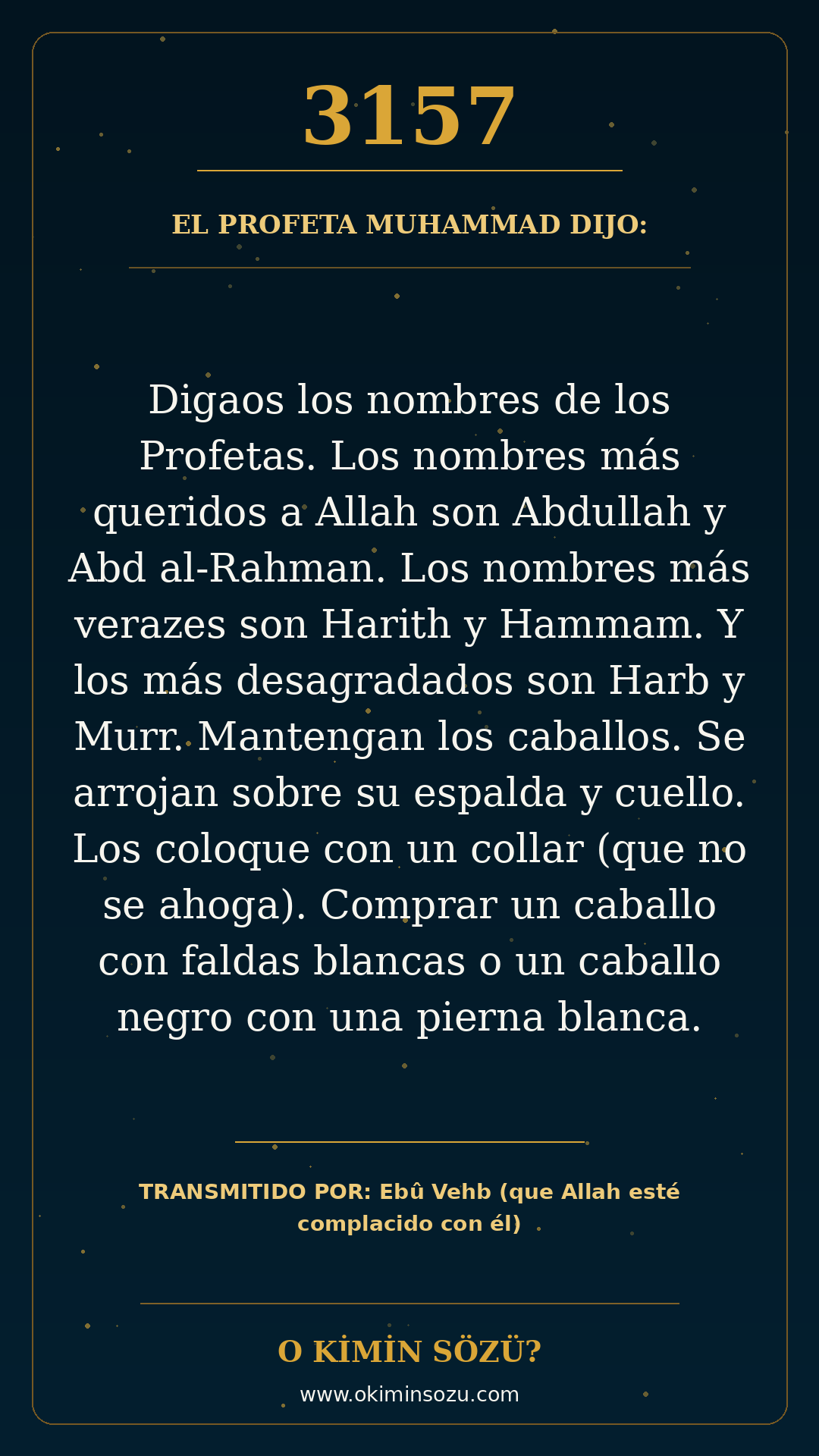 hadis 3157 es