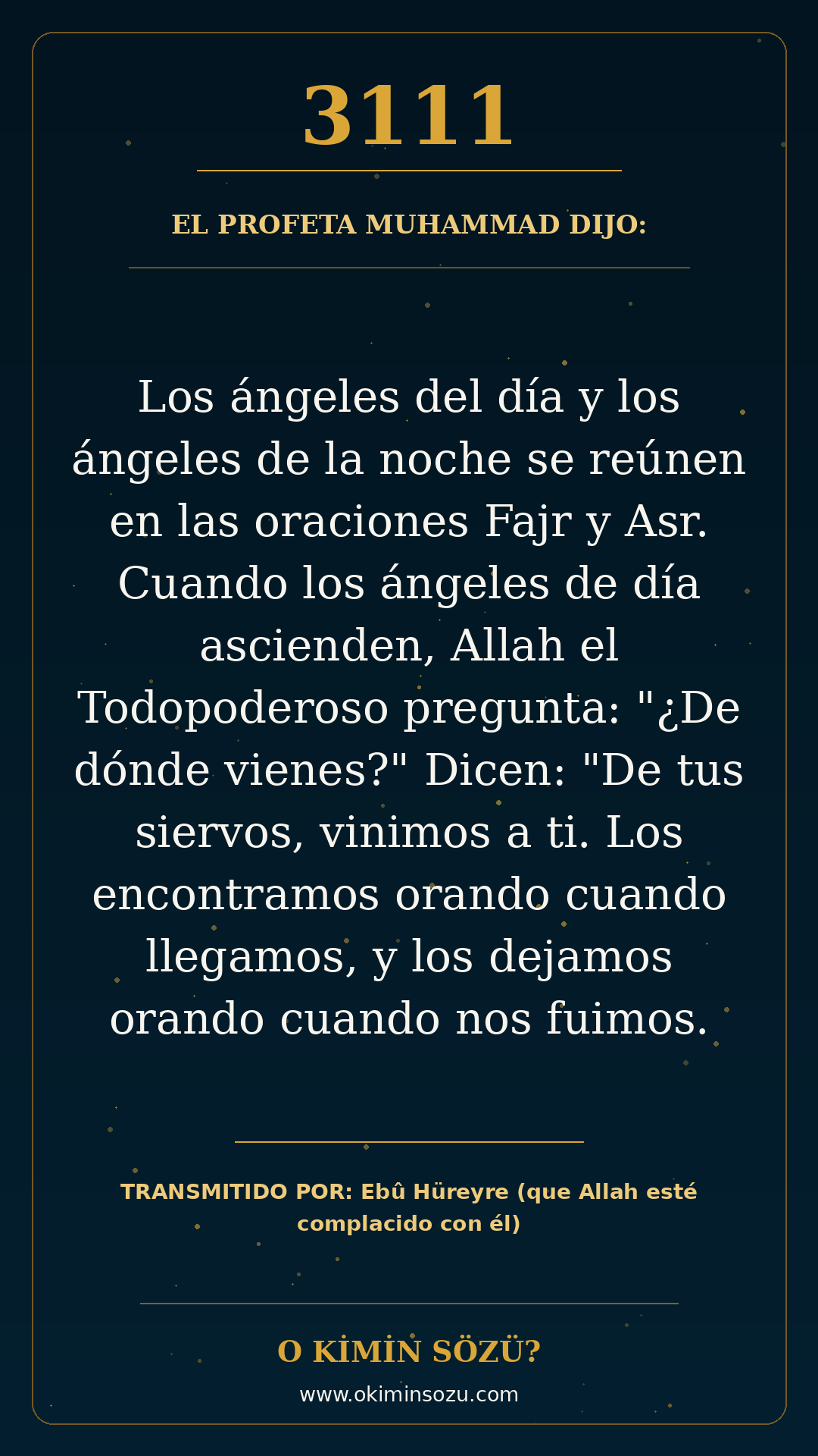 hadis 3111 es