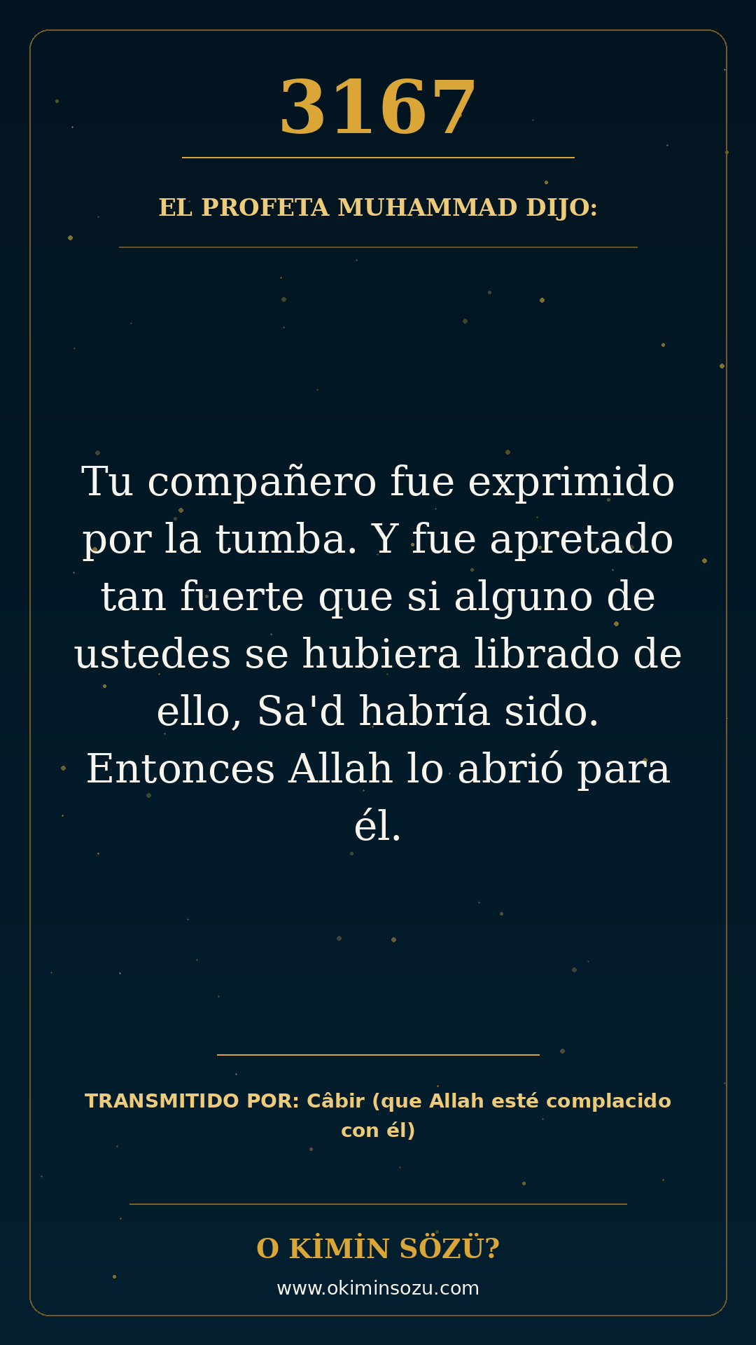 hadis 3167 es