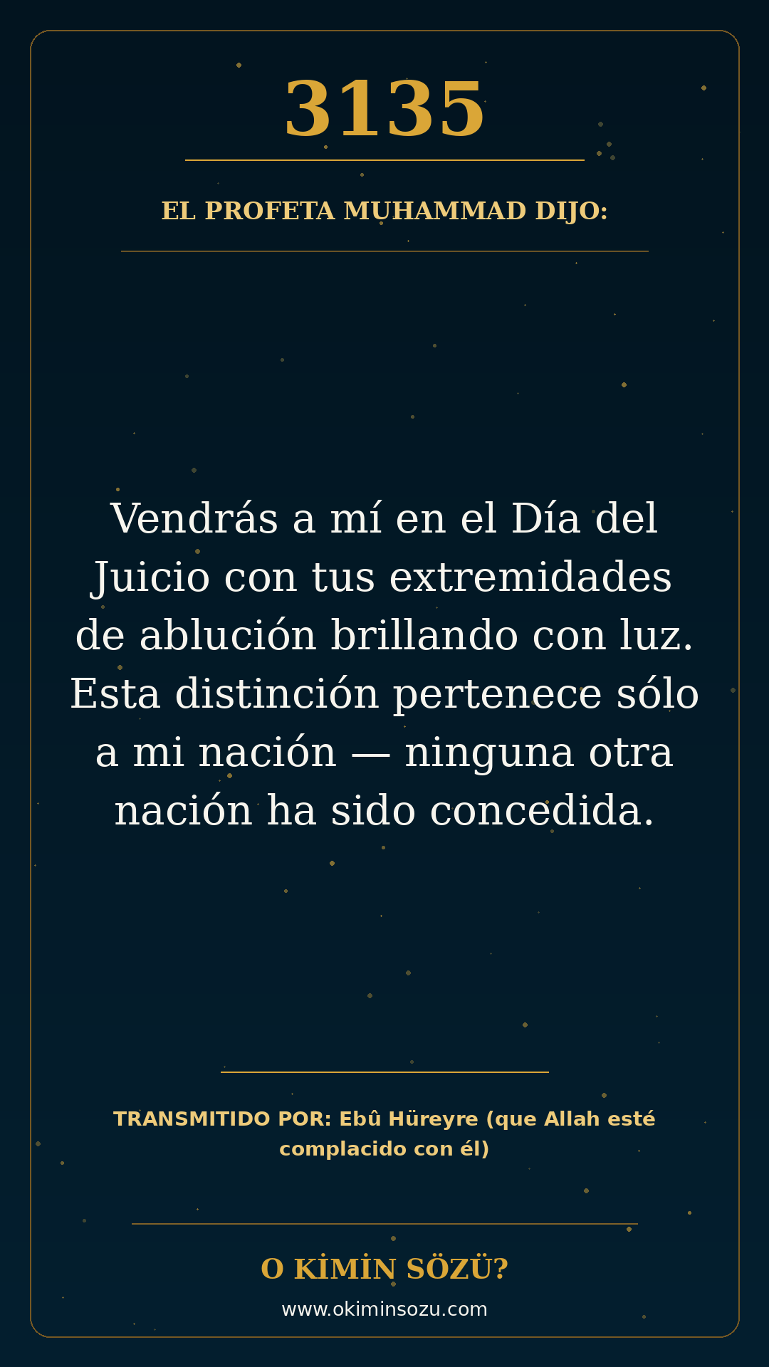 hadis 3135 es