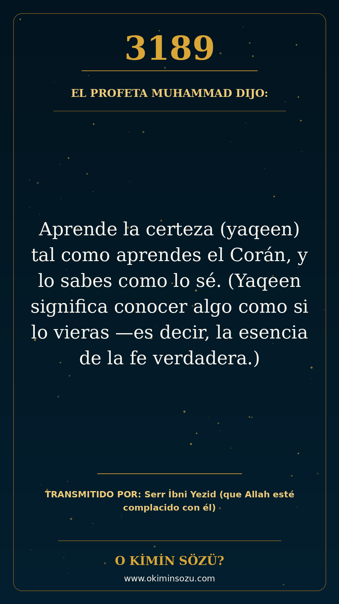 hadis 3189 es