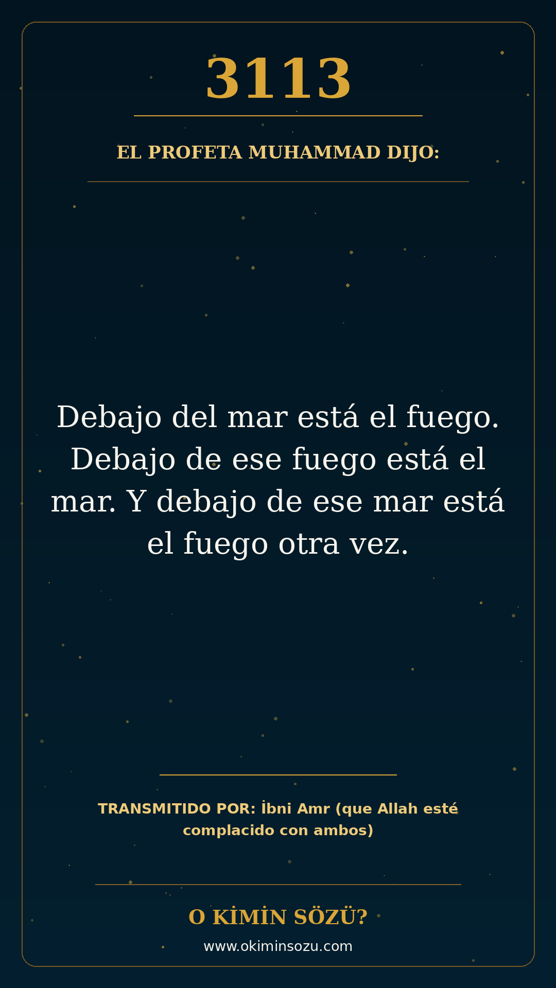 hadis 3113 es