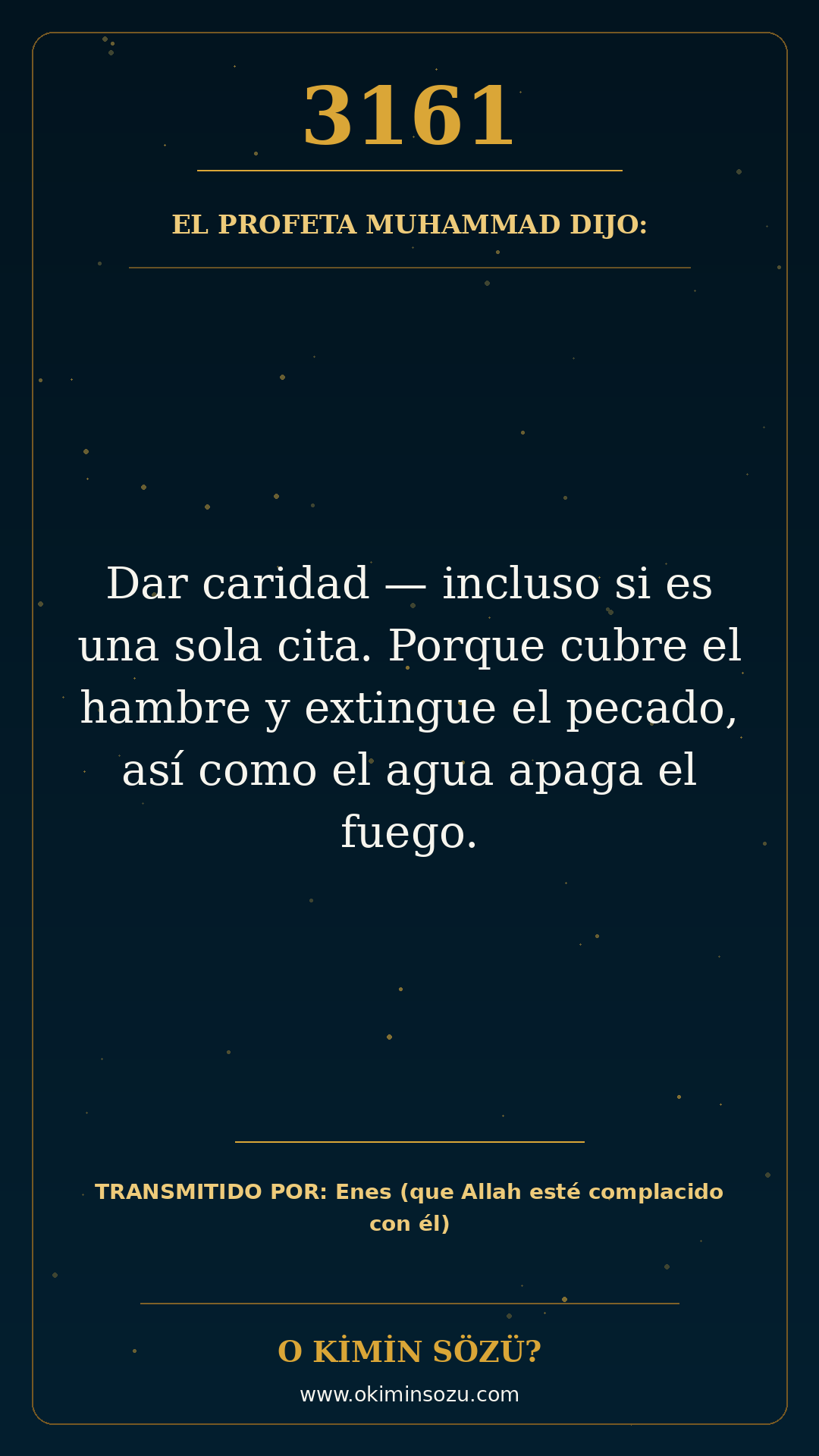 hadis 3161 es