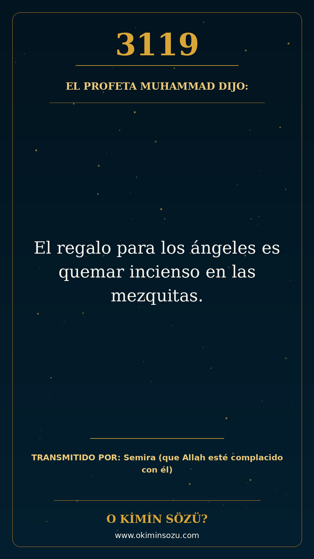 hadis 3119 es