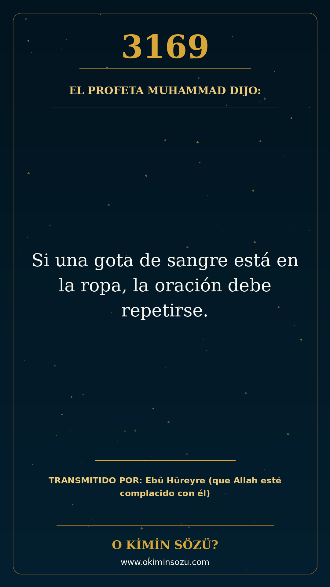 hadis 3169 es