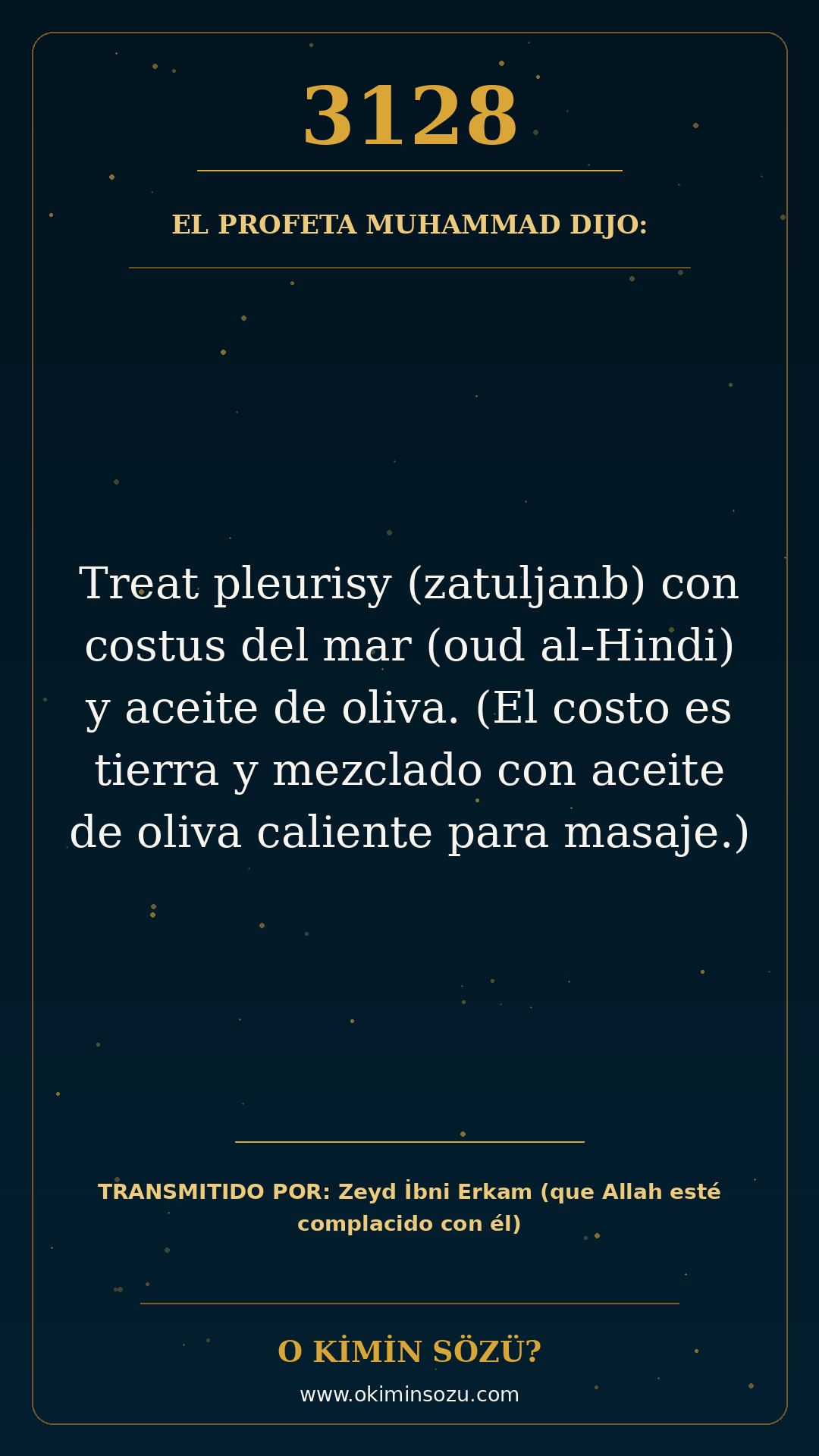 hadis 3128 es