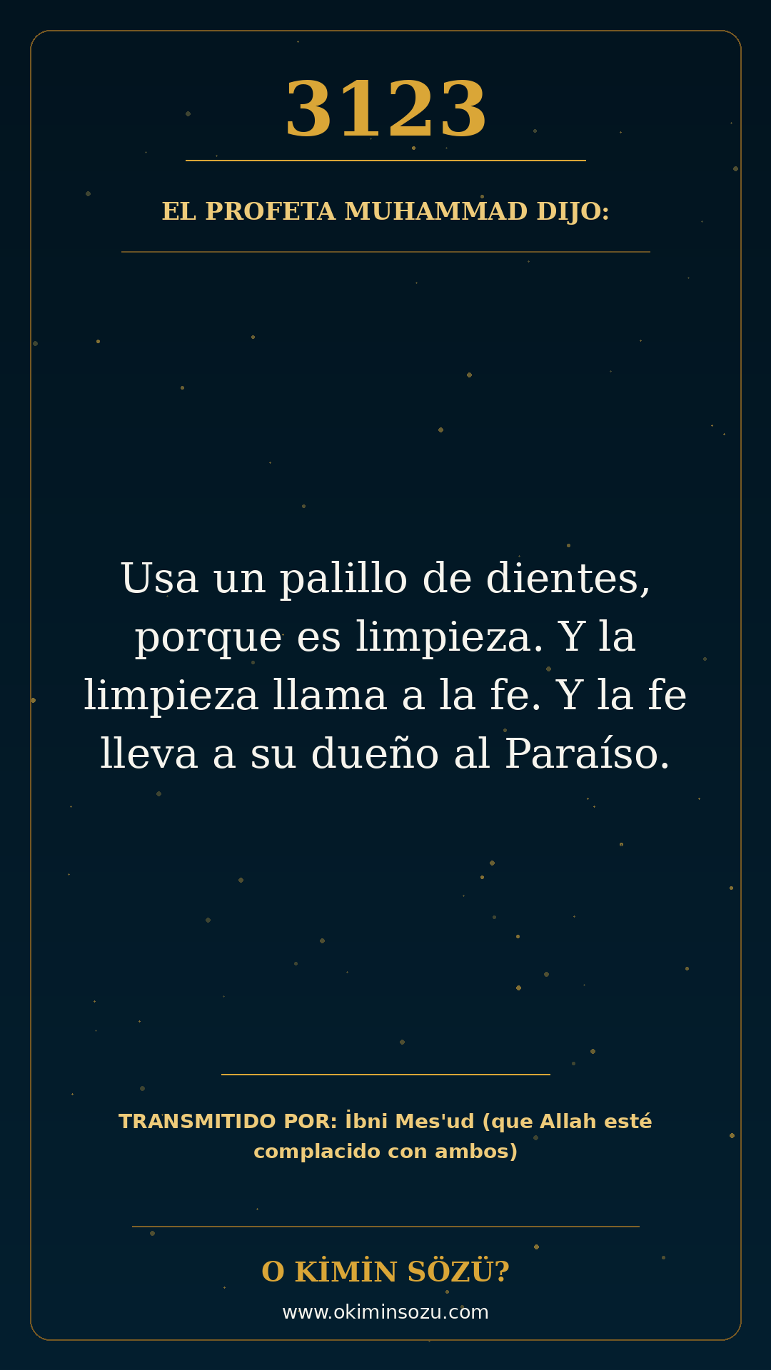 hadis 3123 es