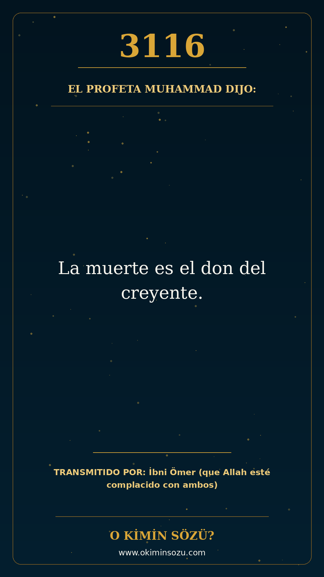 hadis 3116 es