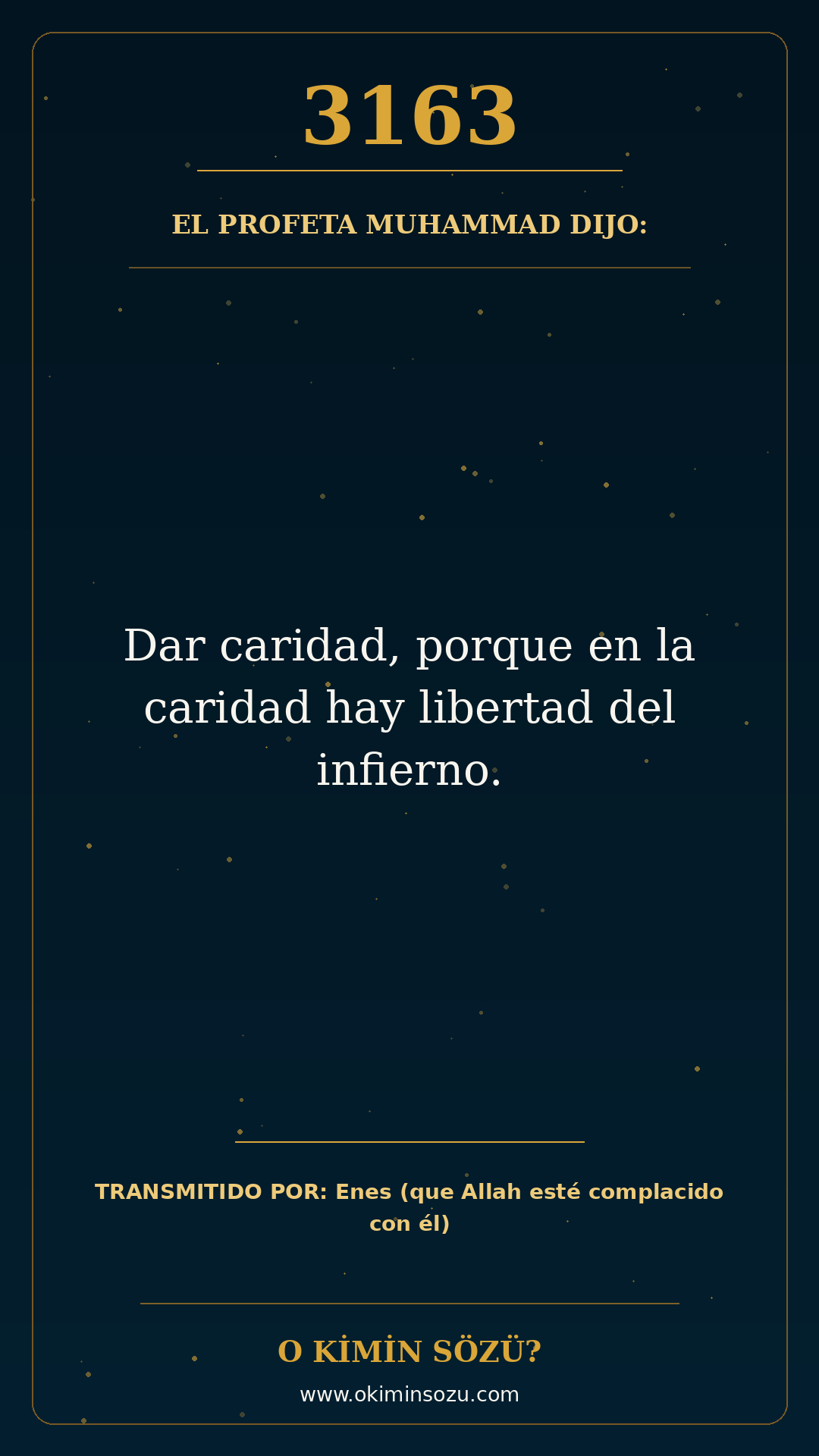 hadis 3163 es