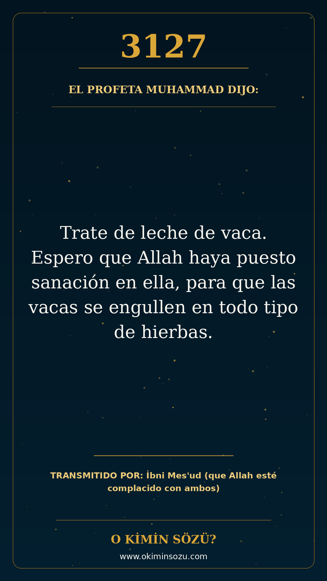 hadis 3127 es