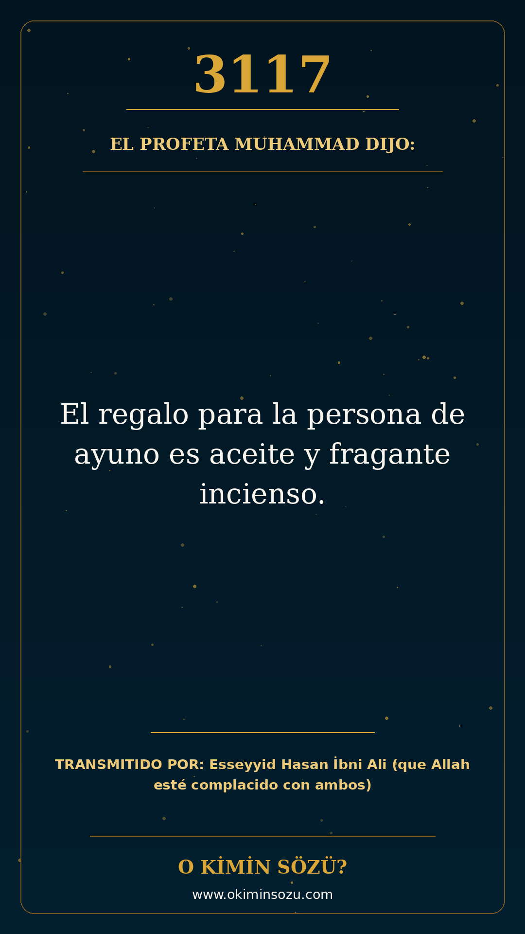 hadis 3117 es