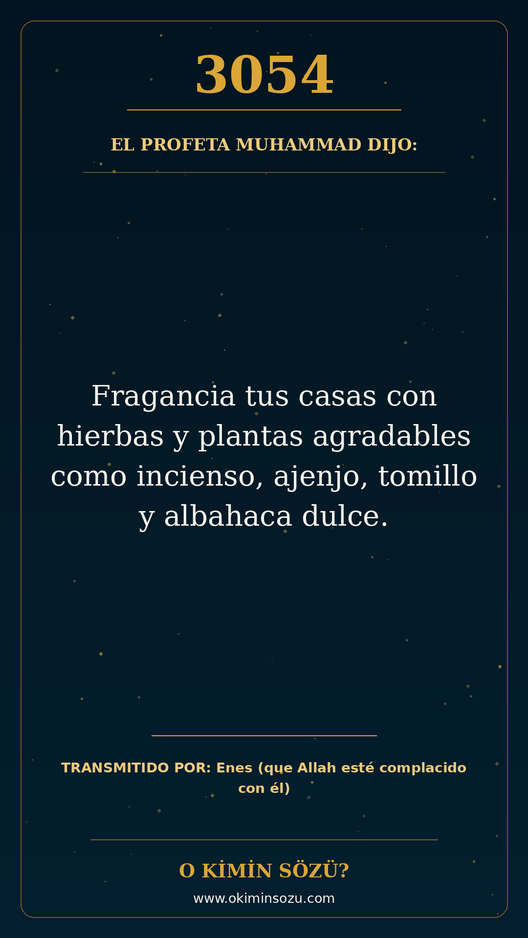 hadis 3054 es
