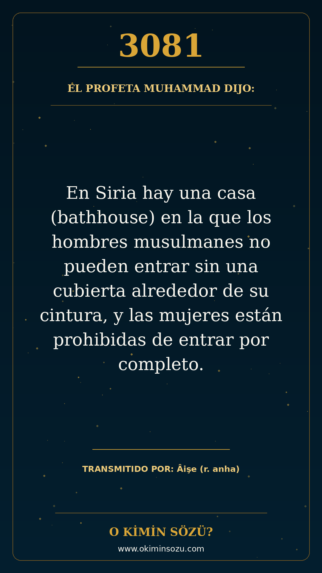 hadis 3081 es