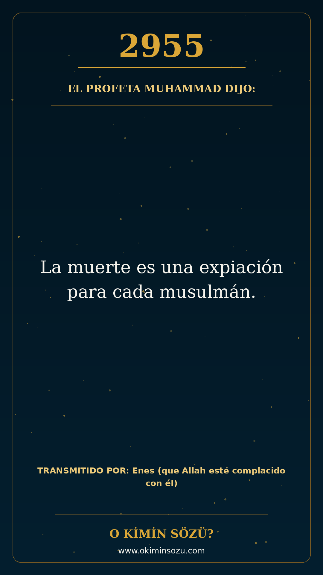 hadis 2955 es