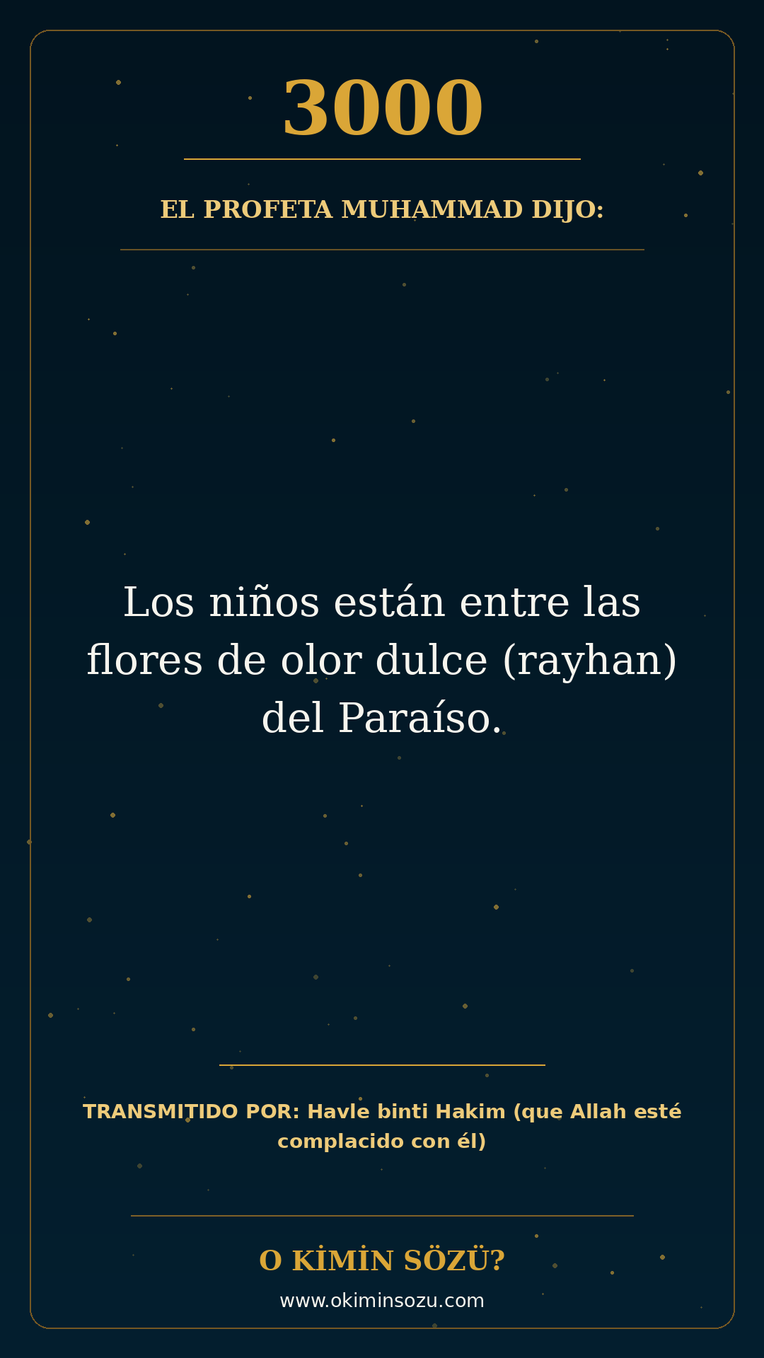 hadis 3000 es
