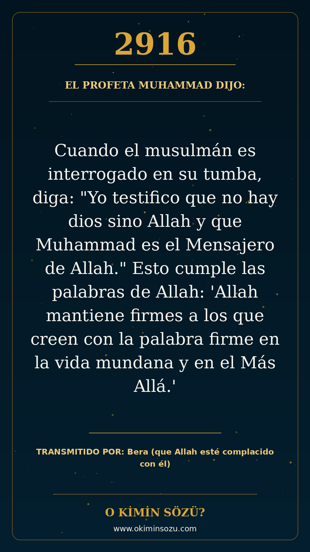 hadis 2916 es