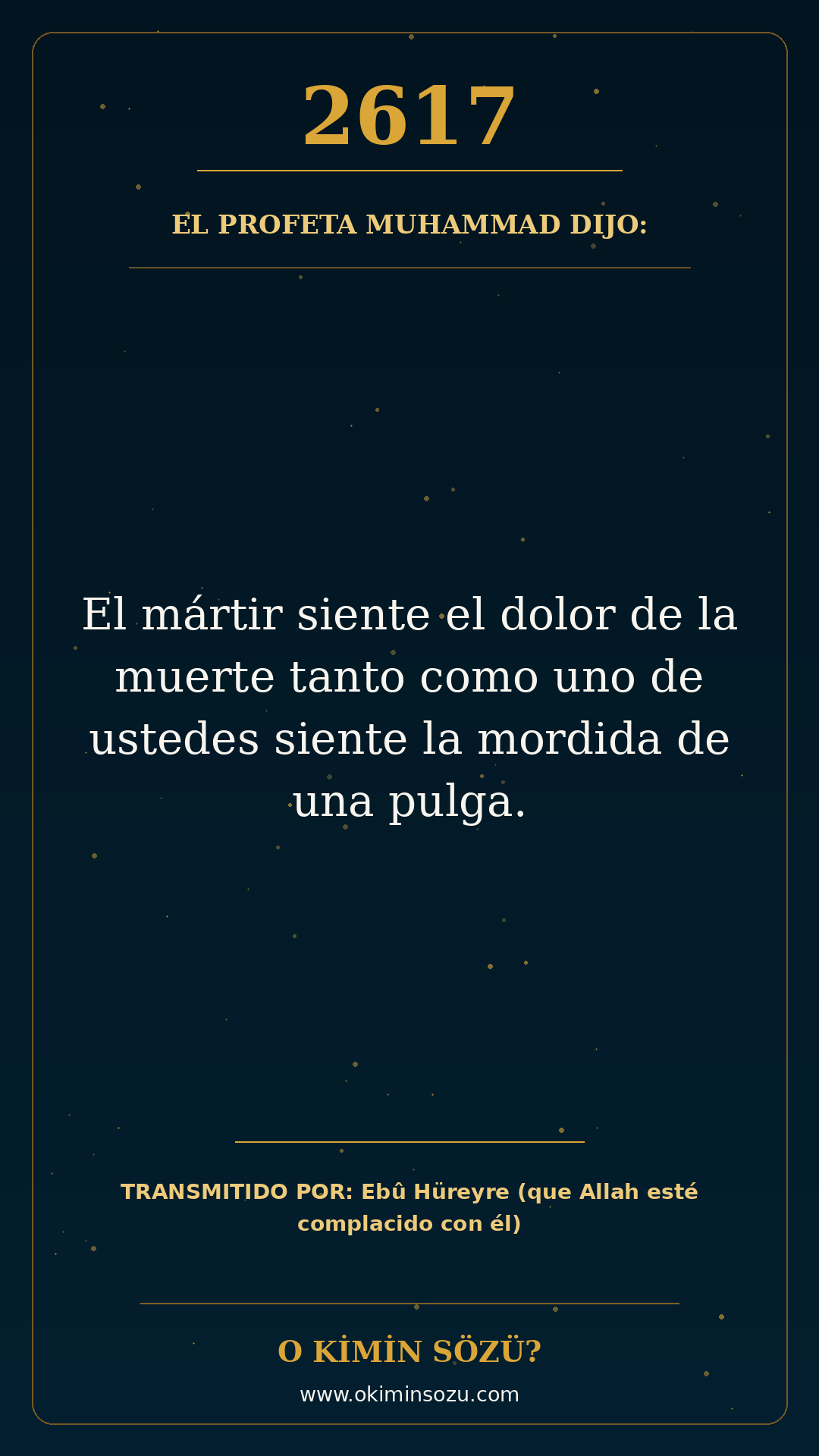 hadis 2617 es