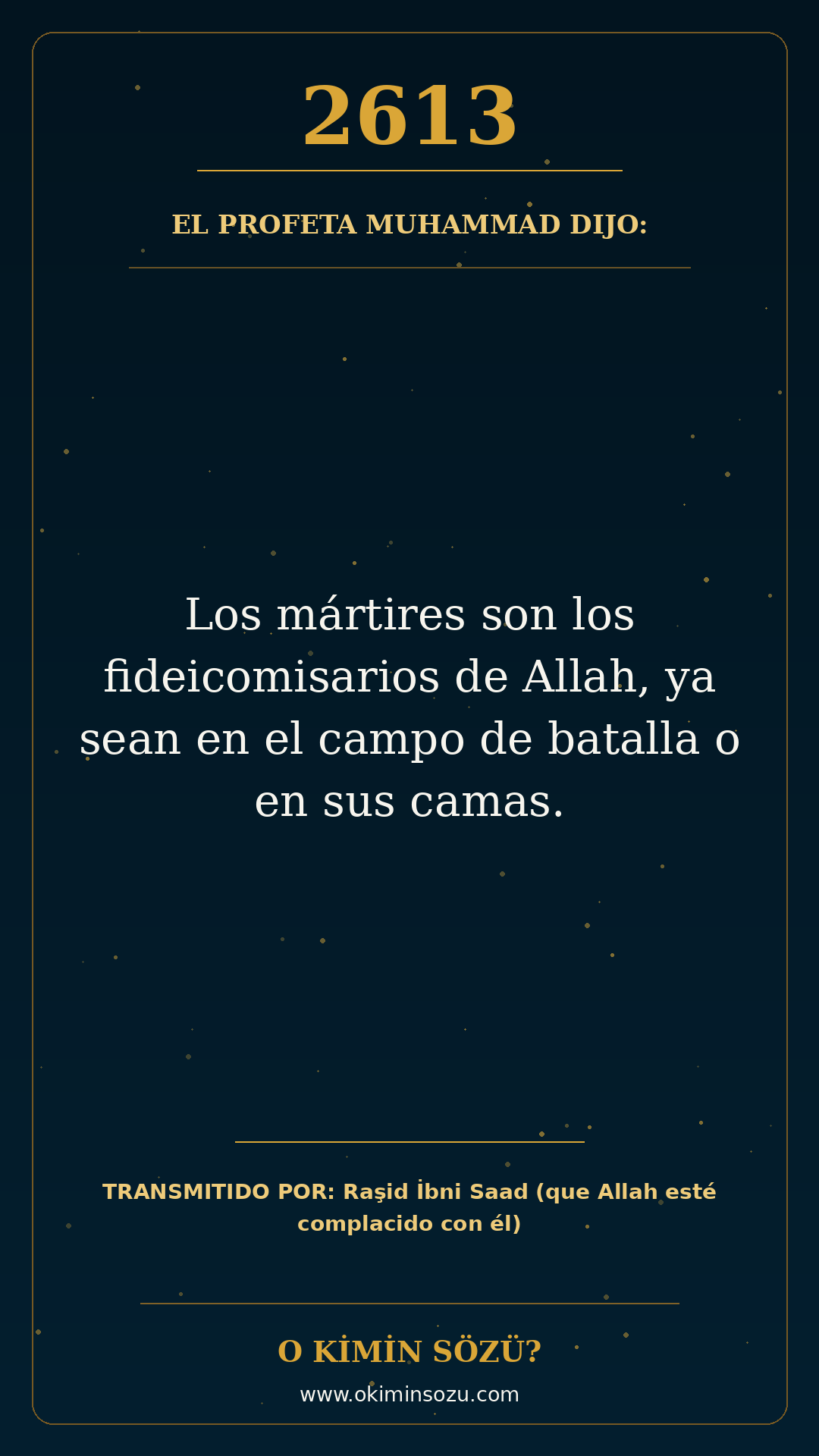 hadis 2613 es