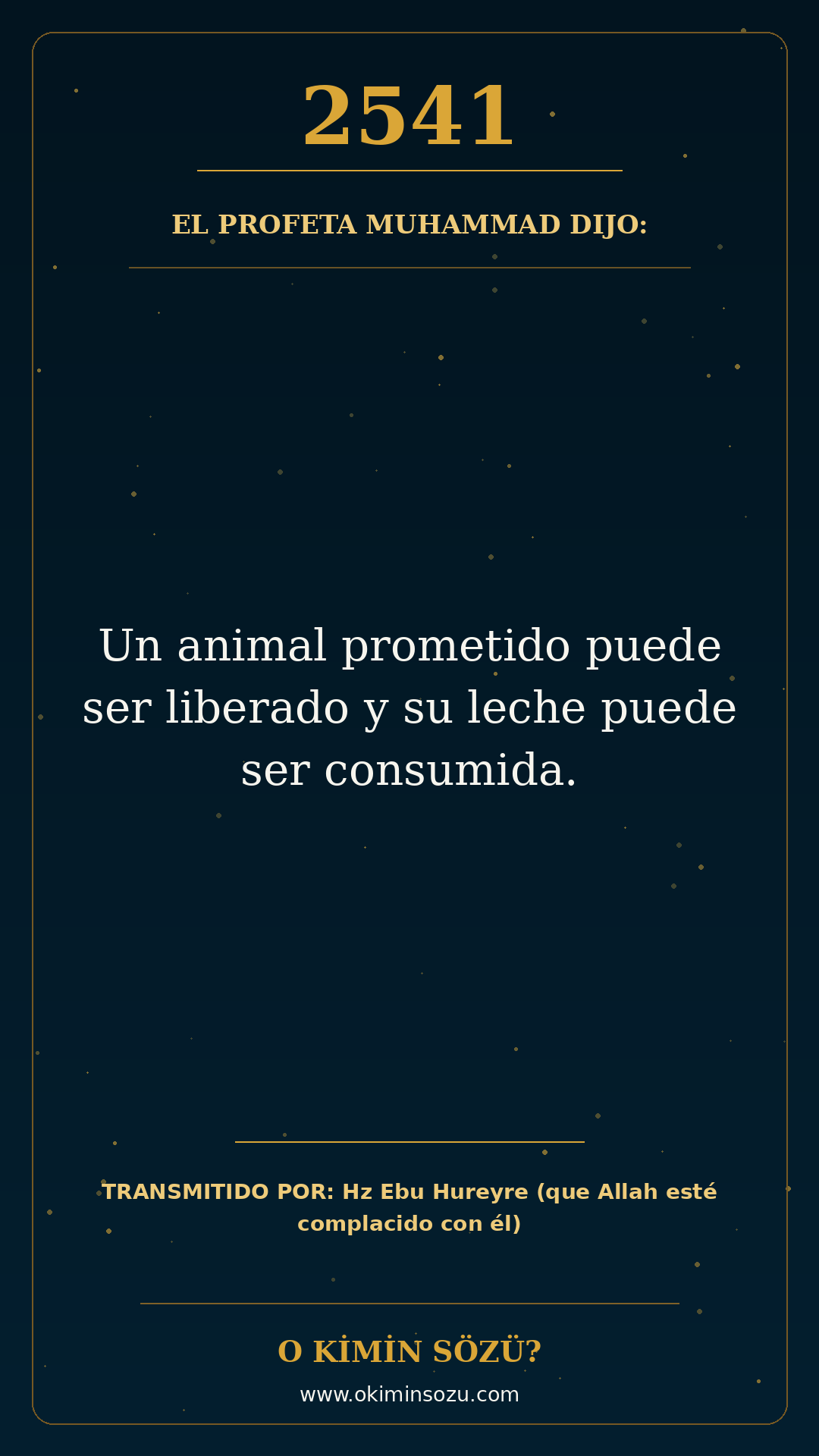 hadis 2541 es