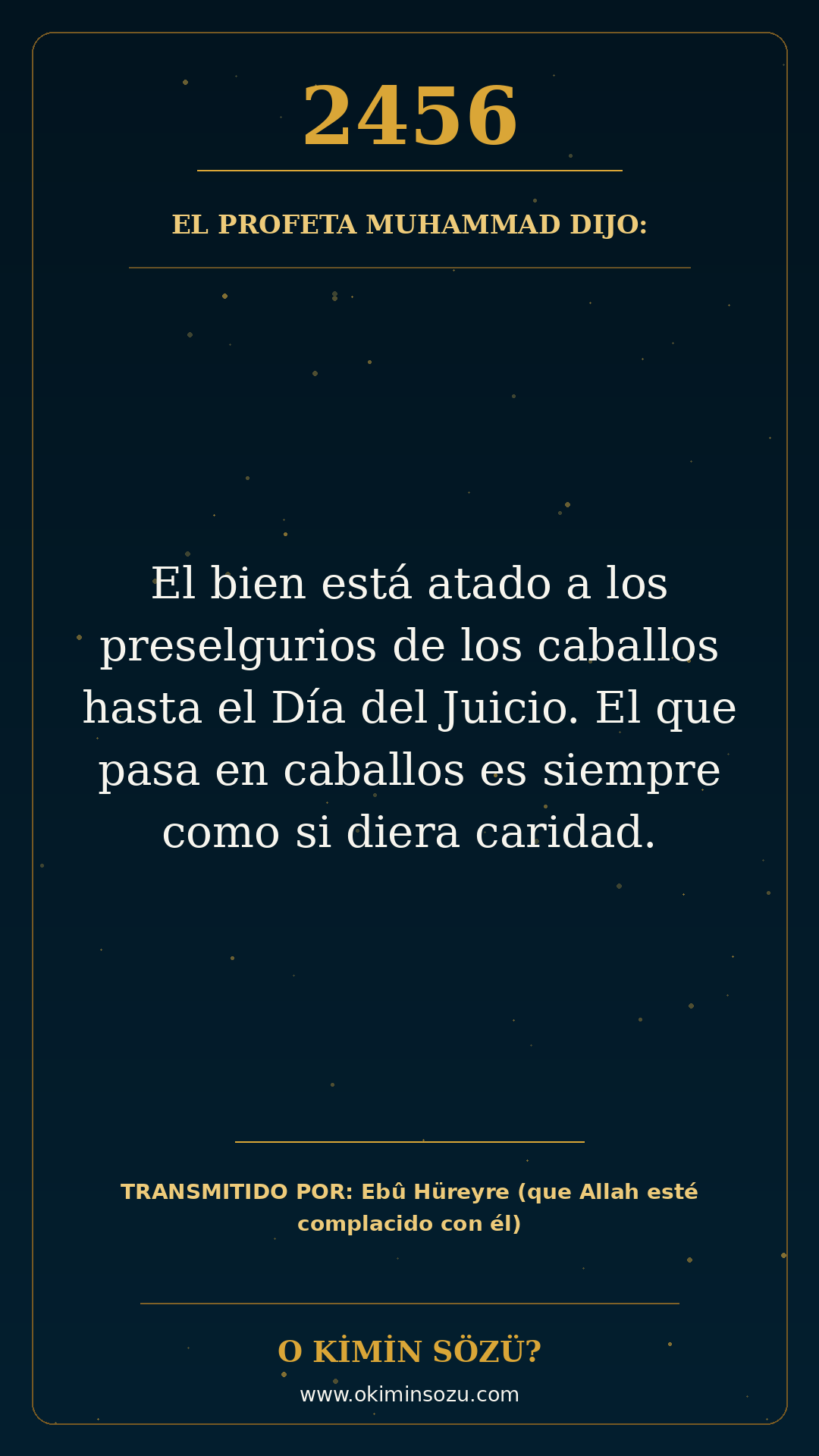 hadis 2456 es
