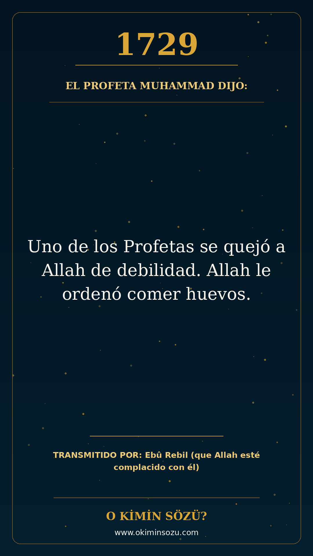 hadis 1729 es