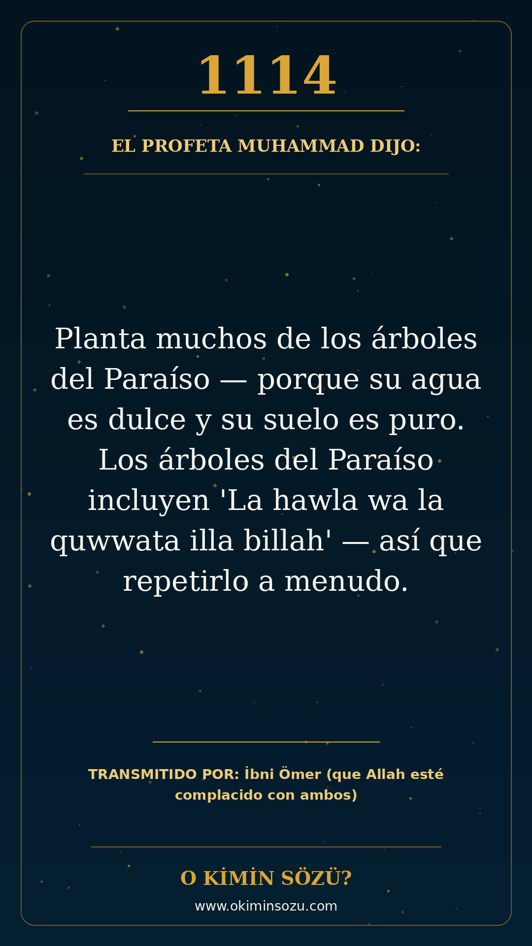 hadis 1114 es